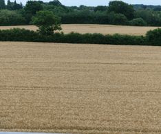 02 Blick vom Dach Haus A auf die Felder der Umgebung