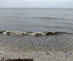 02_die Wellen spülten wieder viel Seetang an den Strand