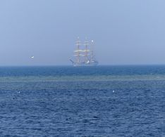 07 am Horizont taucht am Mittwoch  Segelschulschiff Gorch Fock auf