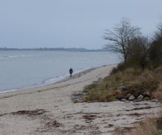 09_einsame Spaziergängerin am Strand von Neu-Stein