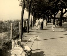 13_1953 die Promenade nur mit Maschendrahtzaun
