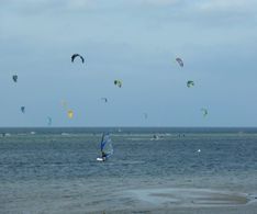 17_nach der Windjammerparade nutzten viele Kiter den günstigen Wind