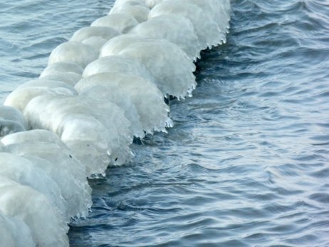 Eishaubenj auf der Ostsee