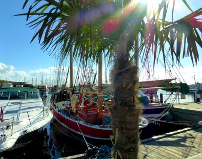 Palmen am Hafen