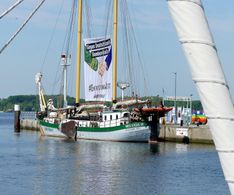 22 das Greenpeaceschiff Beluga II in Laboe